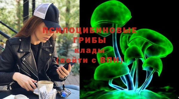 ПСИЛОЦИБИНОВЫЕ ГРИБЫ Верея